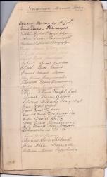 Manuscript petition, with signatures of numerous residents (Welsh Railway)