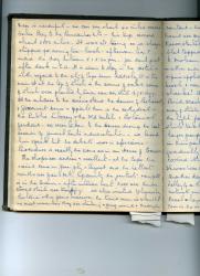 Manuscript journal of a South African lady, 1948